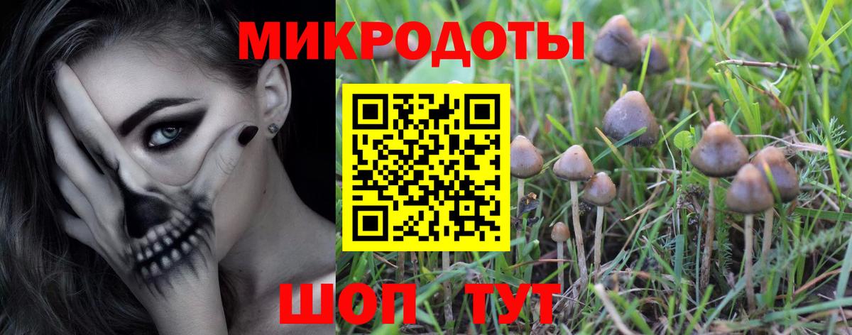 Галлюциногенные грибы Psilocybe  купить наркоту  Кимовск  Вход с VPN 
